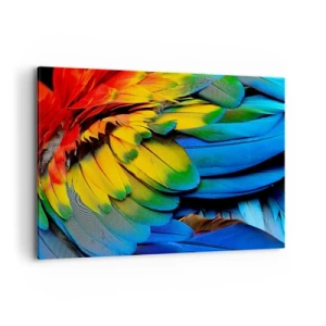 Quadro su tela - Stampe su Tela - Un primo piano delle piume colorate di un pappagallo - 120x80cm - L'uccello del paradiso - Decorazione murale moderna per soggiorno e camera da letto ARTTOR