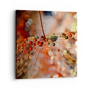 Quadro su tela - Stampe su Tela - Posate sulla ragnatela - 30x30 cm