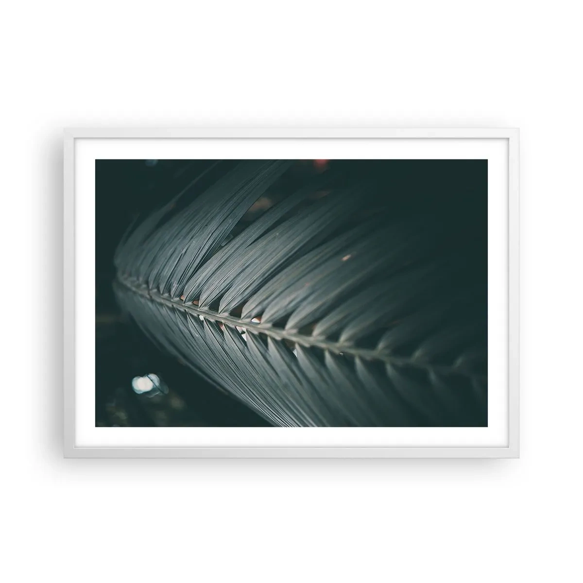 Poster in cornice bianca - La precisione della natura - 70x50 cm