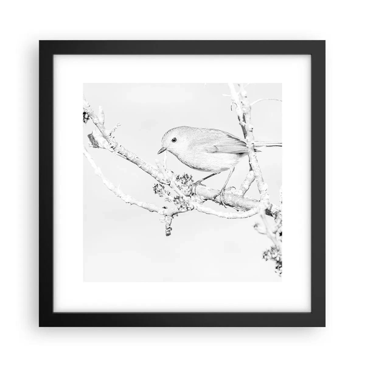 Poster in cornice nera - Mattino invernale - 30x30 cm