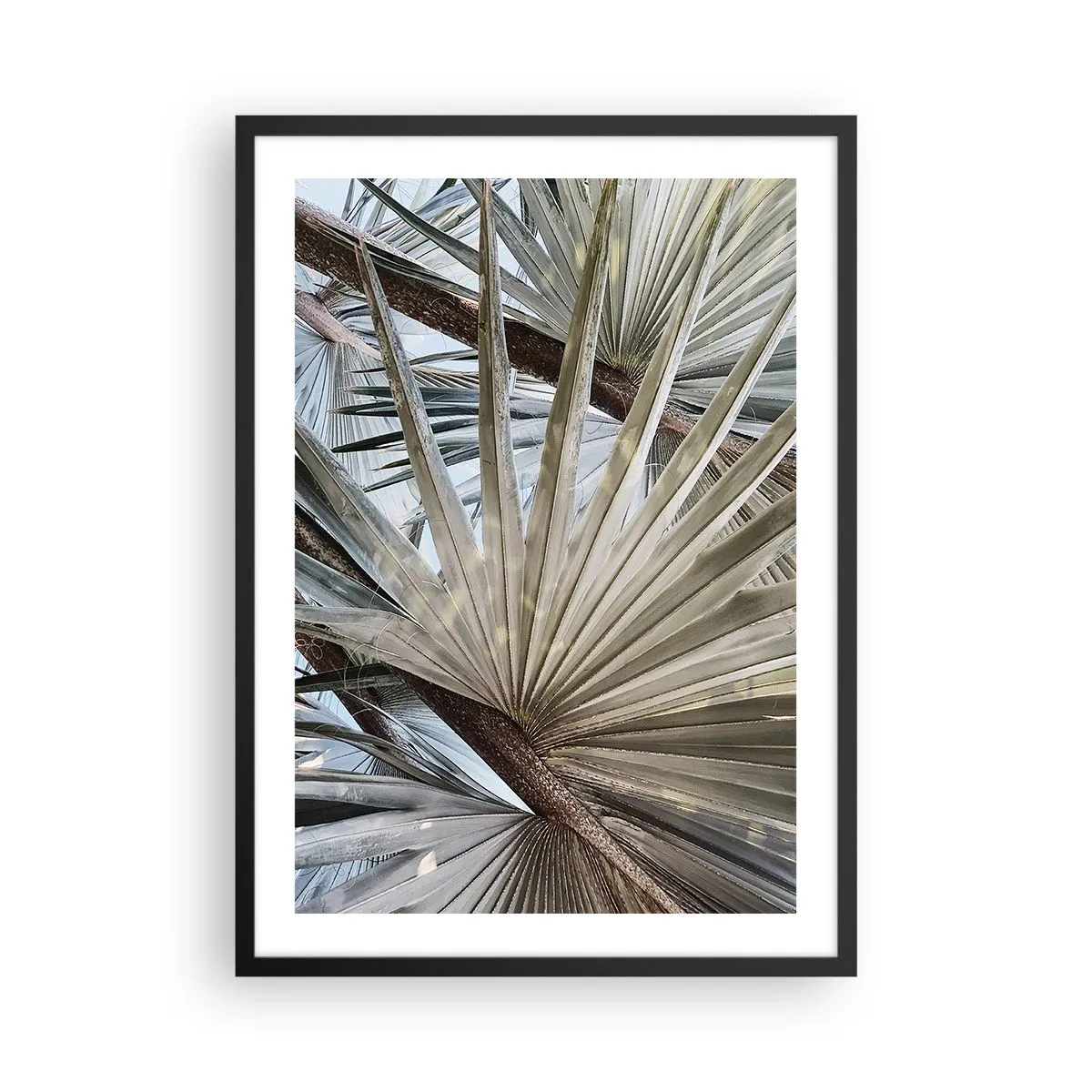 Poster in cornice nera - Primo piano di foglie di palma in tonalità pastello - 50x70cm - Ventagli dei tropici - Decorazione murale moderna per soggiorno e camera da letto ARTTOR