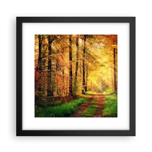 Poster in cornice nera - Il silenzio d'oro del bosco - 30x30 cm