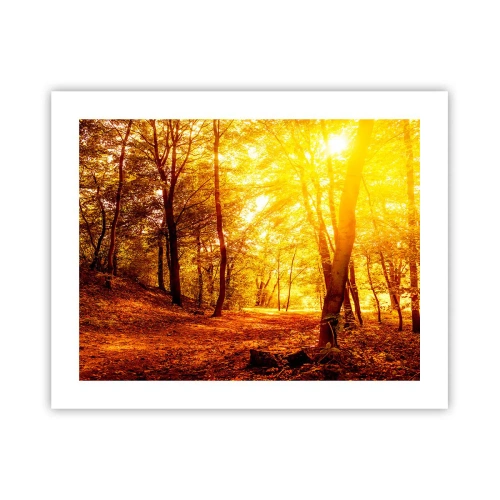 Poster - Verso la radura dorata - 50x40 cm