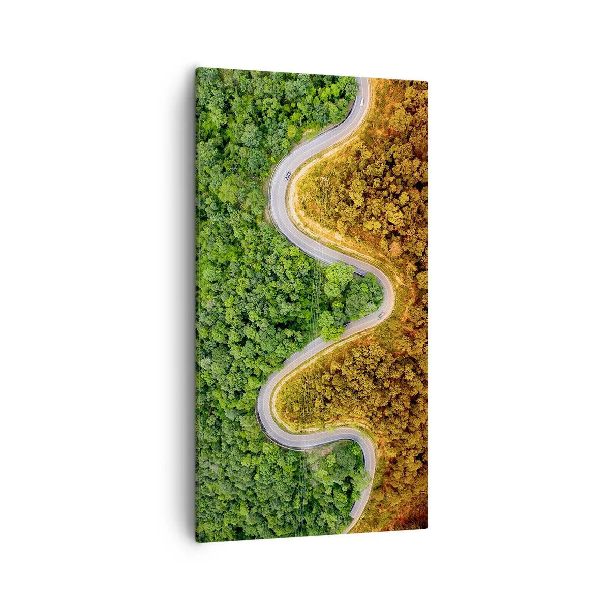 Quadro su tela - Stampe su Tela - Confine e separazione - 55x100 cm