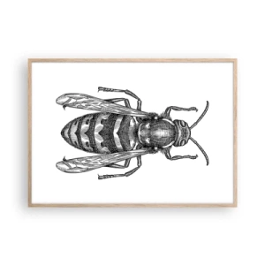 Poster in cornice rovere chiaro - Dal pianeta degli insetti - 100x70 cm