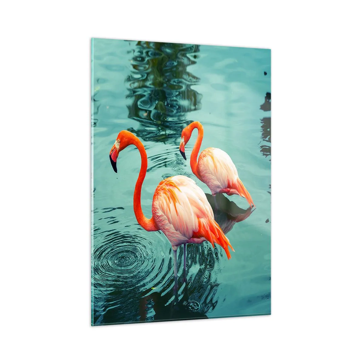 Quadro su vetro - Fenicotteri sull'acqua in una composizione armoniosa - 50x70cm - Adesso siamo di moda - Decorazione murale moderna per soggiorno e camera da letto ARTTOR