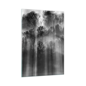 Quadro su vetro - Raggi di luce bianchi e neri che penetrano nella foresta - 50x70cm - Nei getti di luce - Decorazione murale moderna per soggiorno e camera da letto ARTTOR