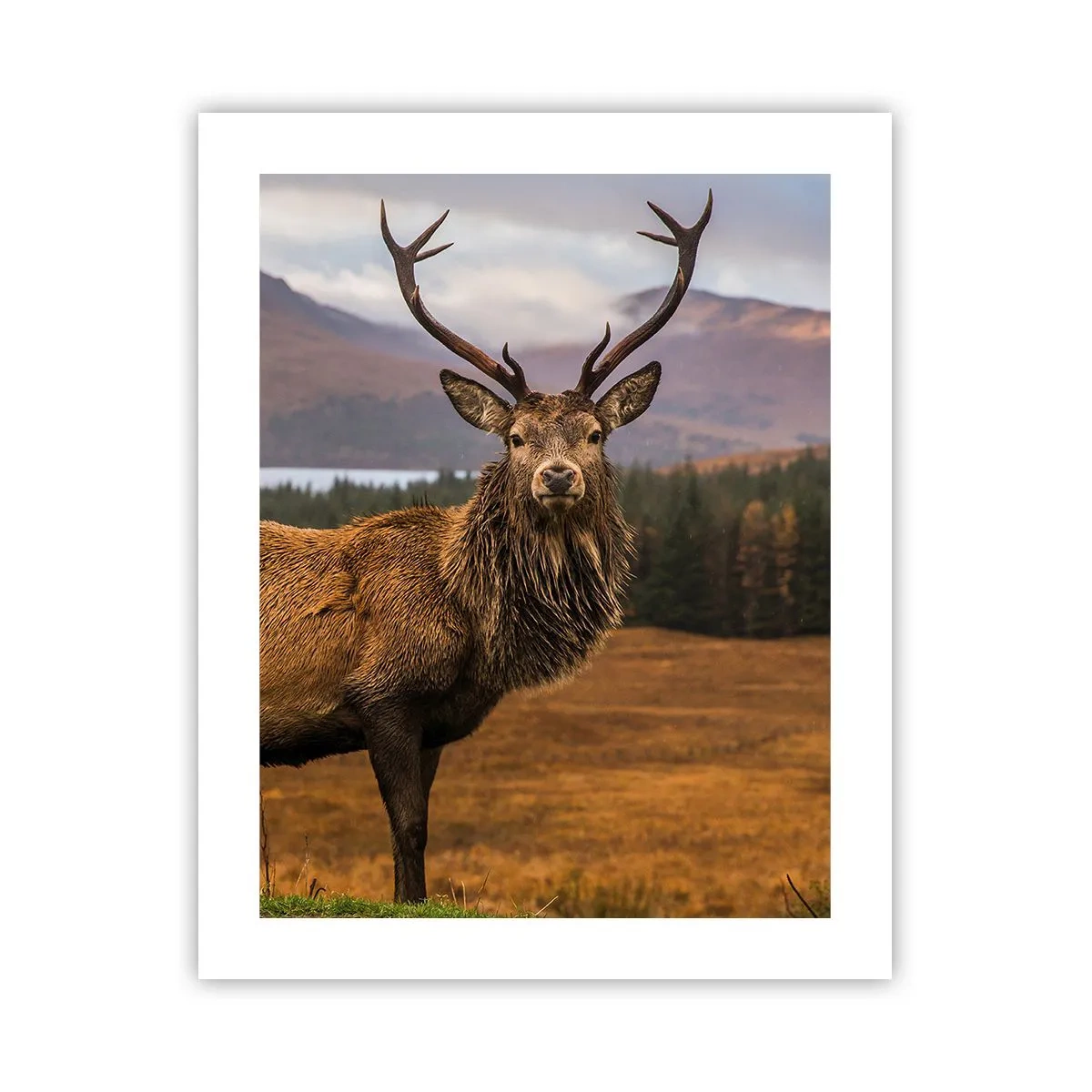 Poster - Maestà della natura - 40x50 cm