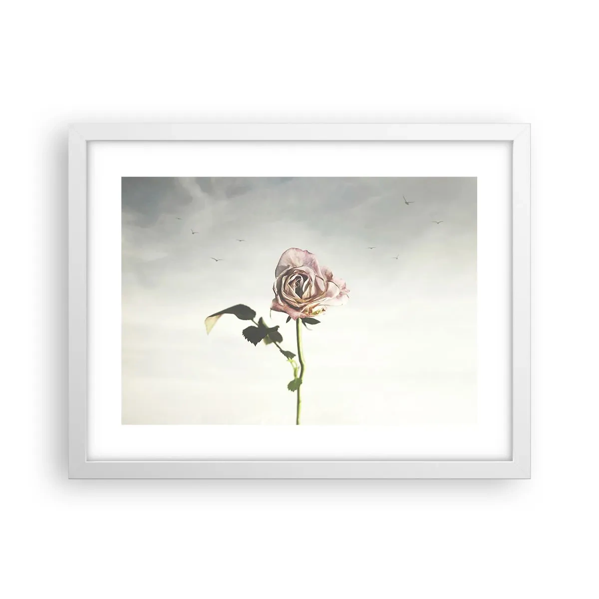 Poster in cornice bianca - Il benvenuto alla primavera - 40x30 cm