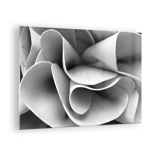 Quadro su vetro - Primo piano in bianco e nero di forme a spirale astratte - 70x50cm - Avviene nello spazio - Decorazione murale moderna per soggiorno e camera da letto ARTTOR