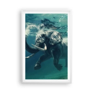 Poster in cornice bianca - Tutti amano nuotare - 61x91 cm