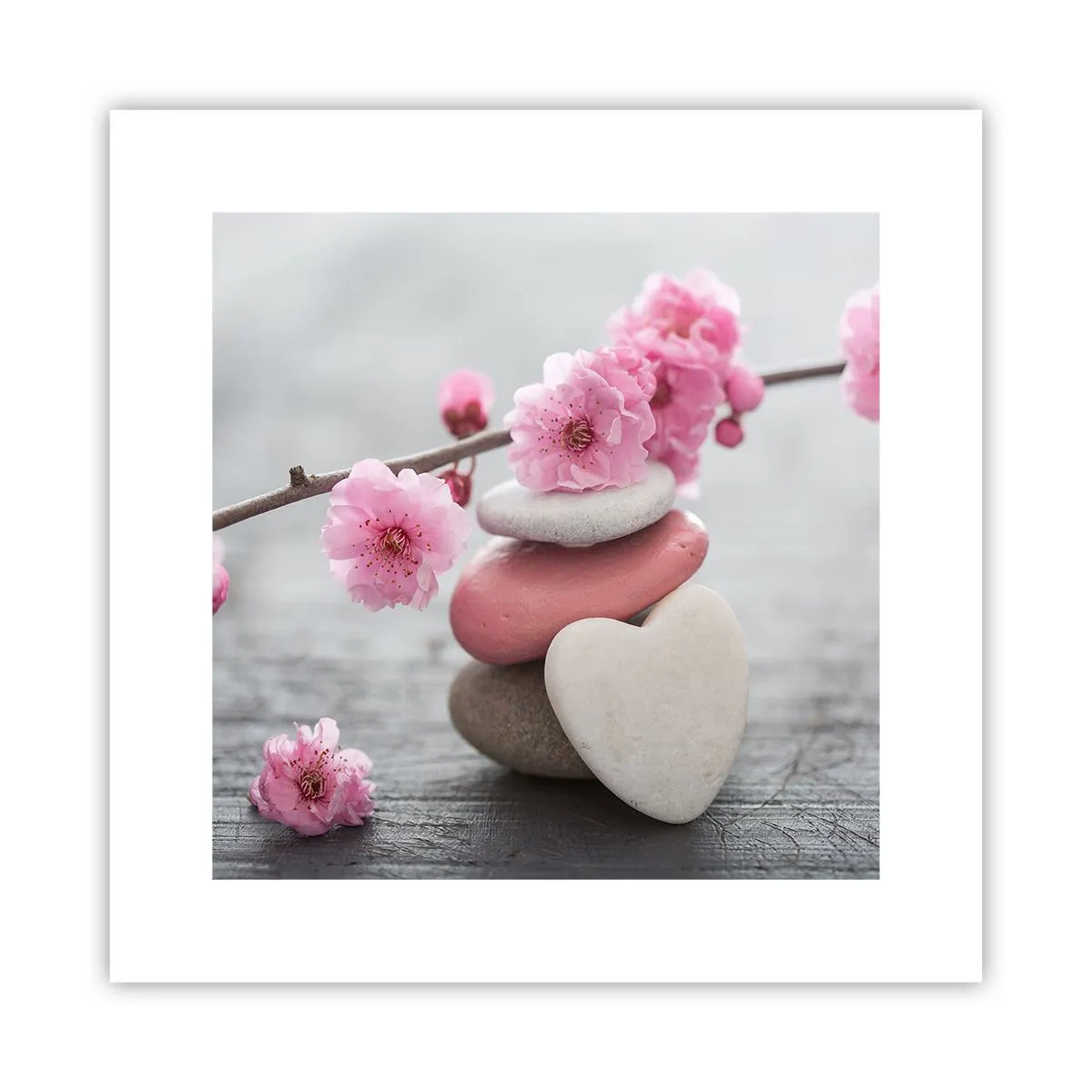 Poster - Serenità con fiori di ciliegio - 30x30 cm