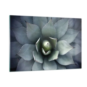 Quadro su vetro - Un primo piano delle foglie simmetriche dell'agave color acciaio. - 120x80cm - Adesca e minaccia - Decorazione murale moderna per soggiorno e camera da letto ARTTOR