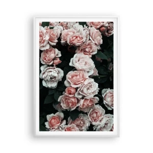 Poster in cornice bianca - Composizione di rose - 70x100 cm