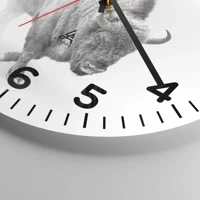 Quadrante con numeri