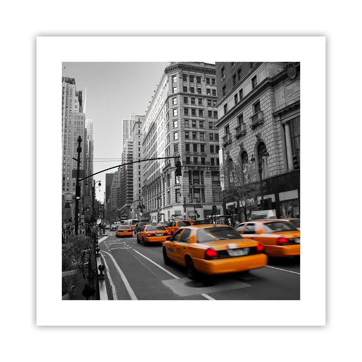 Poster - Il sole della grande città - 40x40 cm