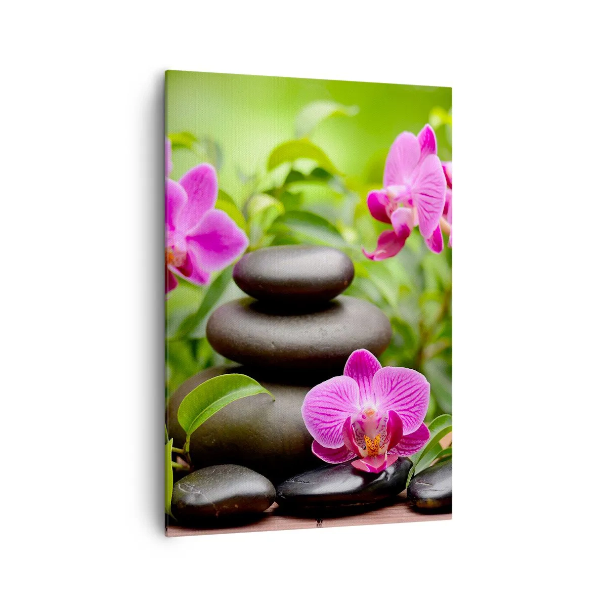 Quadro su tela - Stampe su Tela - Orchidee rosa con pietre su sfondo verde - 70x100cm - Piramide di pace - Decorazione murale moderna per soggiorno e camera da letto ARTTOR