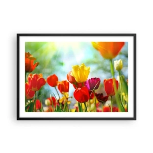 Poster in cornice nera - Tulipani colorati al sole - 70x50cm - Tutti i colori del sole - Decorazione murale moderna per soggiorno e camera da letto ARTTOR