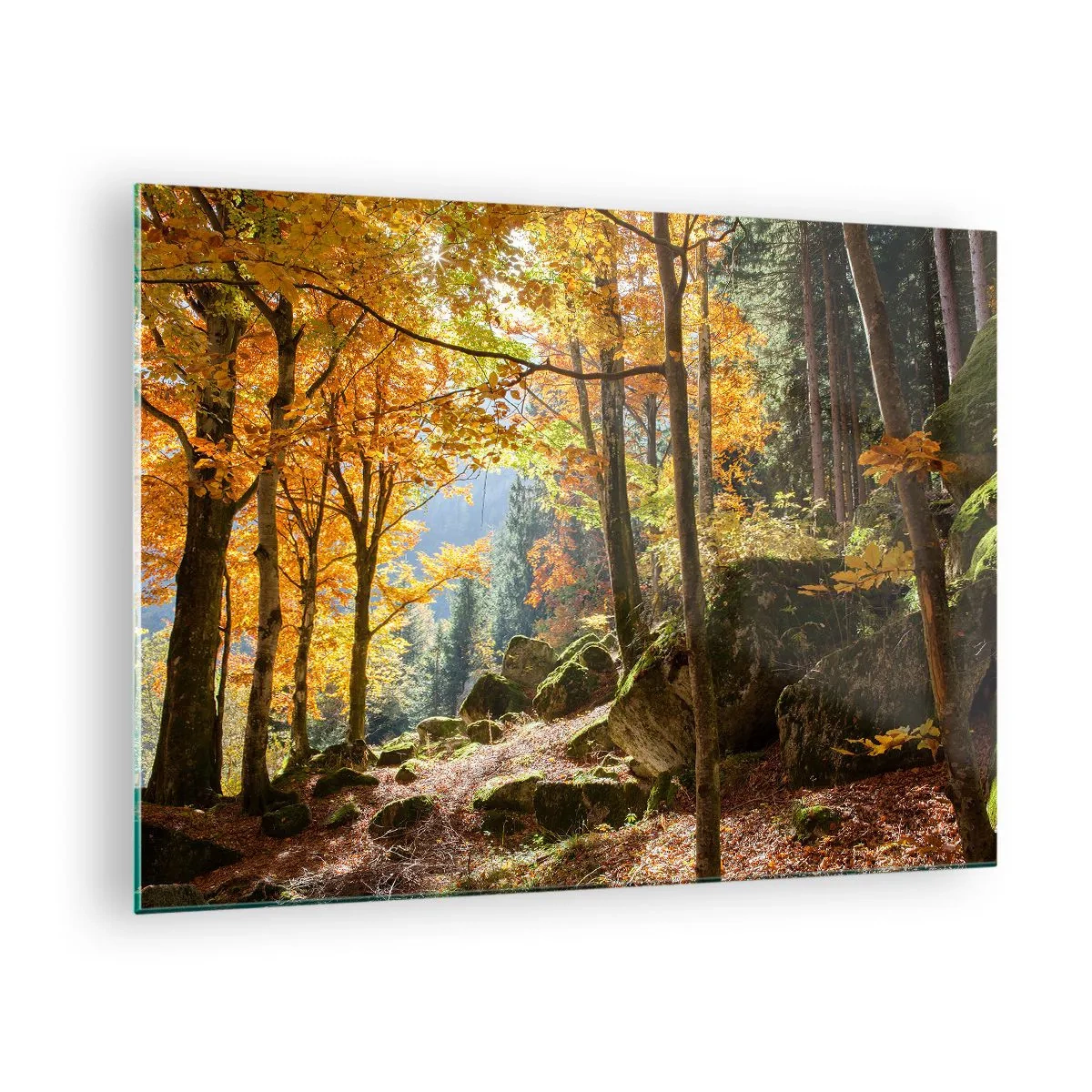 Quadro su vetro - Foresta autunnale con raggi di sole e pietre - 70x50cm - Il tempo del riposo - Decorazione murale moderna per soggiorno e camera da letto ARTTOR