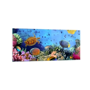Quadro su vetro - Barriera corallina con pesci colorati e una tartaruga marina - 120x50cm - Ma cosa sappiamo della vita... - Decorazione murale moderna per soggiorno e camera da letto ARTTOR