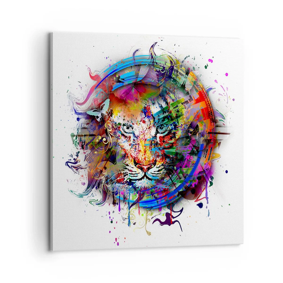 Quadro su tela - Stampe su Tela - Si nasconde dietro un velo arcobaleno - 60x60 cm