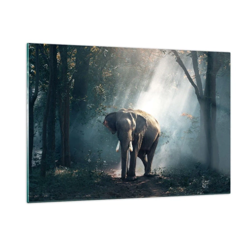 Quadro su vetro - Un elefante che cammina nella foresta mentre la luce del sole filtra tra gli alberi. - 120x80cm - Tranquilla passeggiata - Decorazione murale moderna per soggiorno e camera da letto ARTTOR
