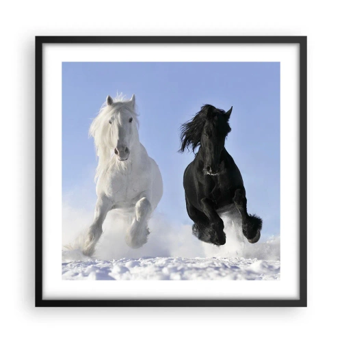 Poster in cornice nera - Galoppo in bianco e nero - 50x50 cm
