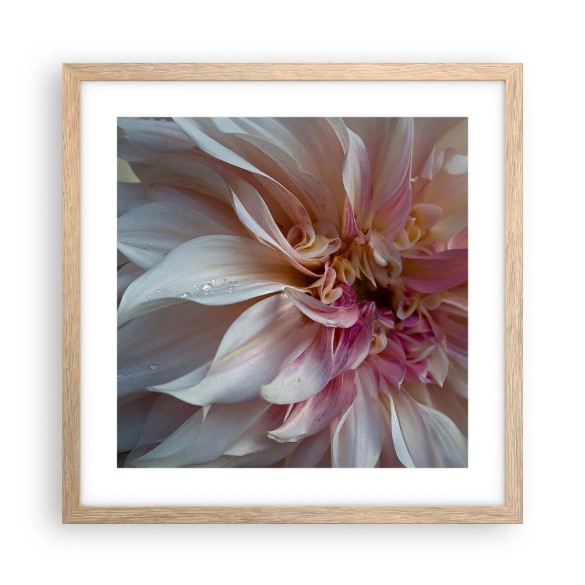 Poster in cornice rovere chiaro - Freschezza in fiore - 40x40 cm