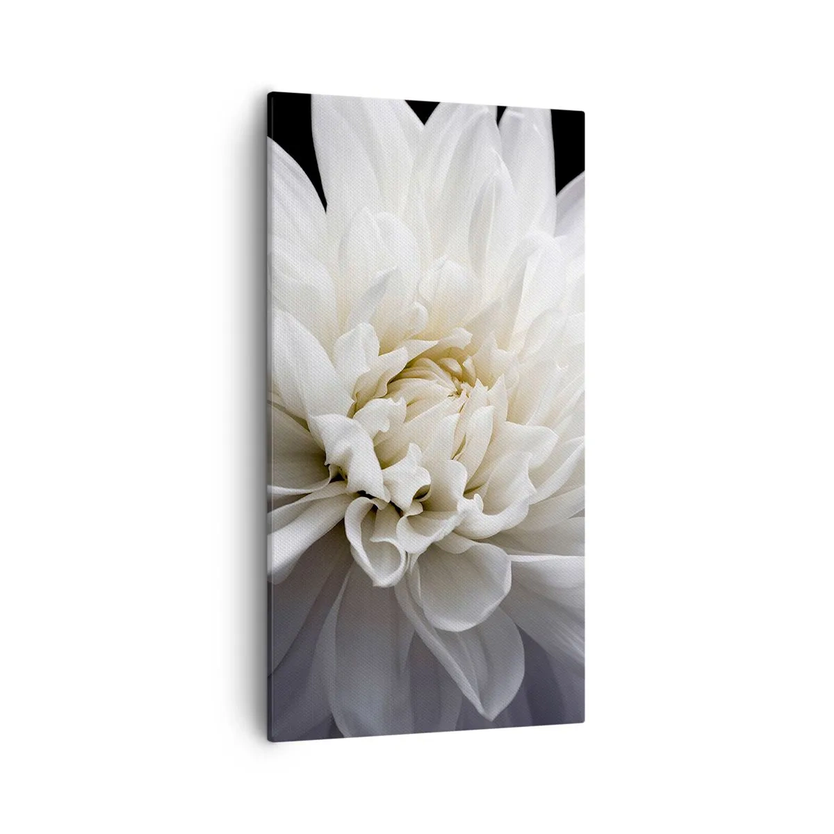 Quadro su tela - Stampe su Tela - Il mattino della sposa - 55x100 cm