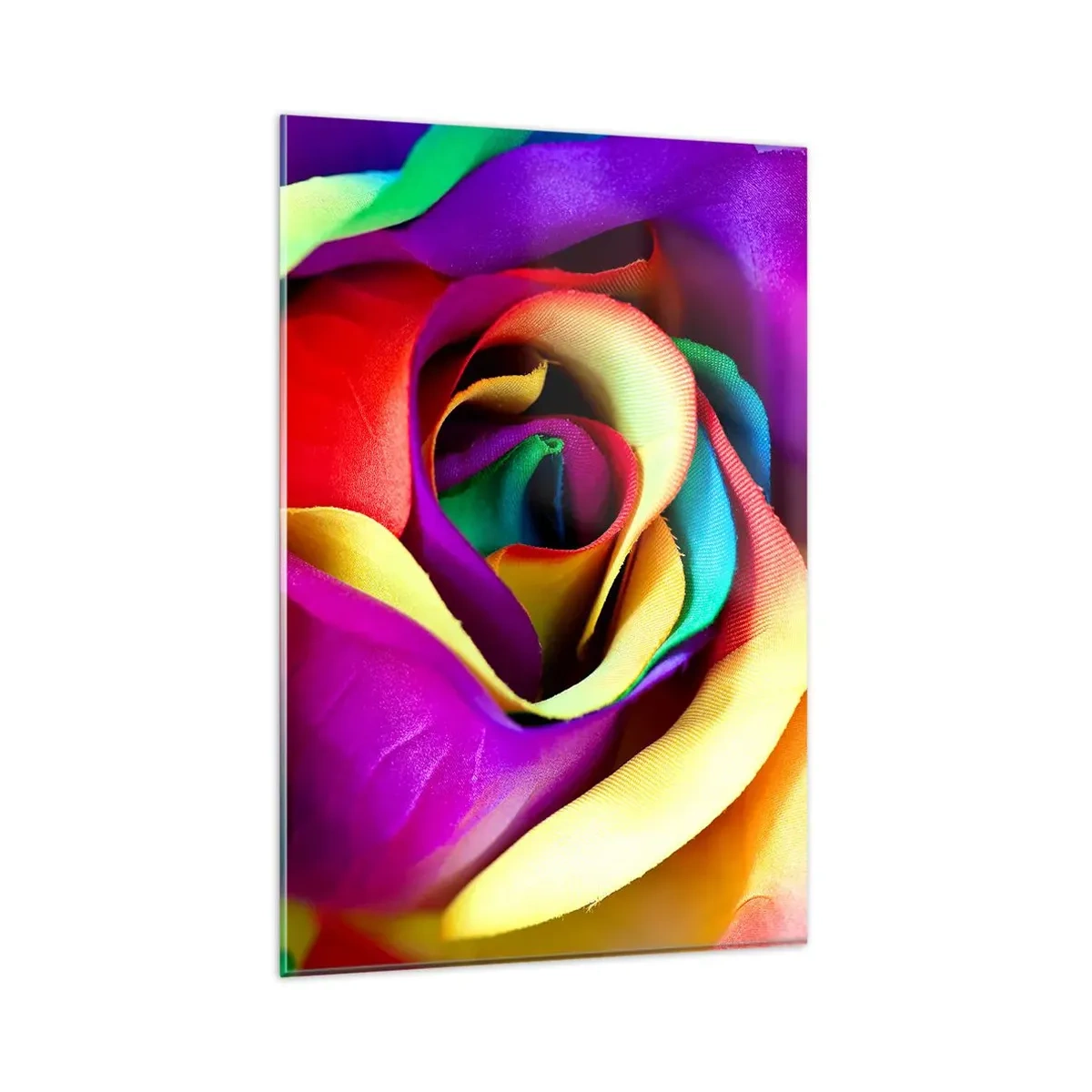 Quadro su vetro - Una rosa colorata nelle sfumature dell'arcobaleno - 80x120cm - È impossibile - Decorazione murale moderna per soggiorno e camera da letto ARTTOR