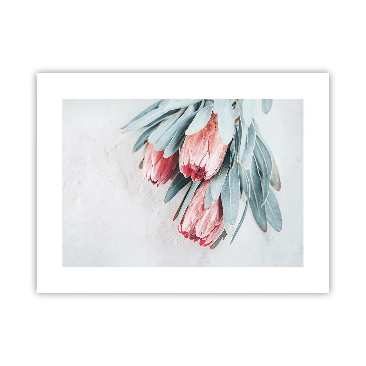 Poster - Imbarazzati per la propria bellezza - 40x30 cm