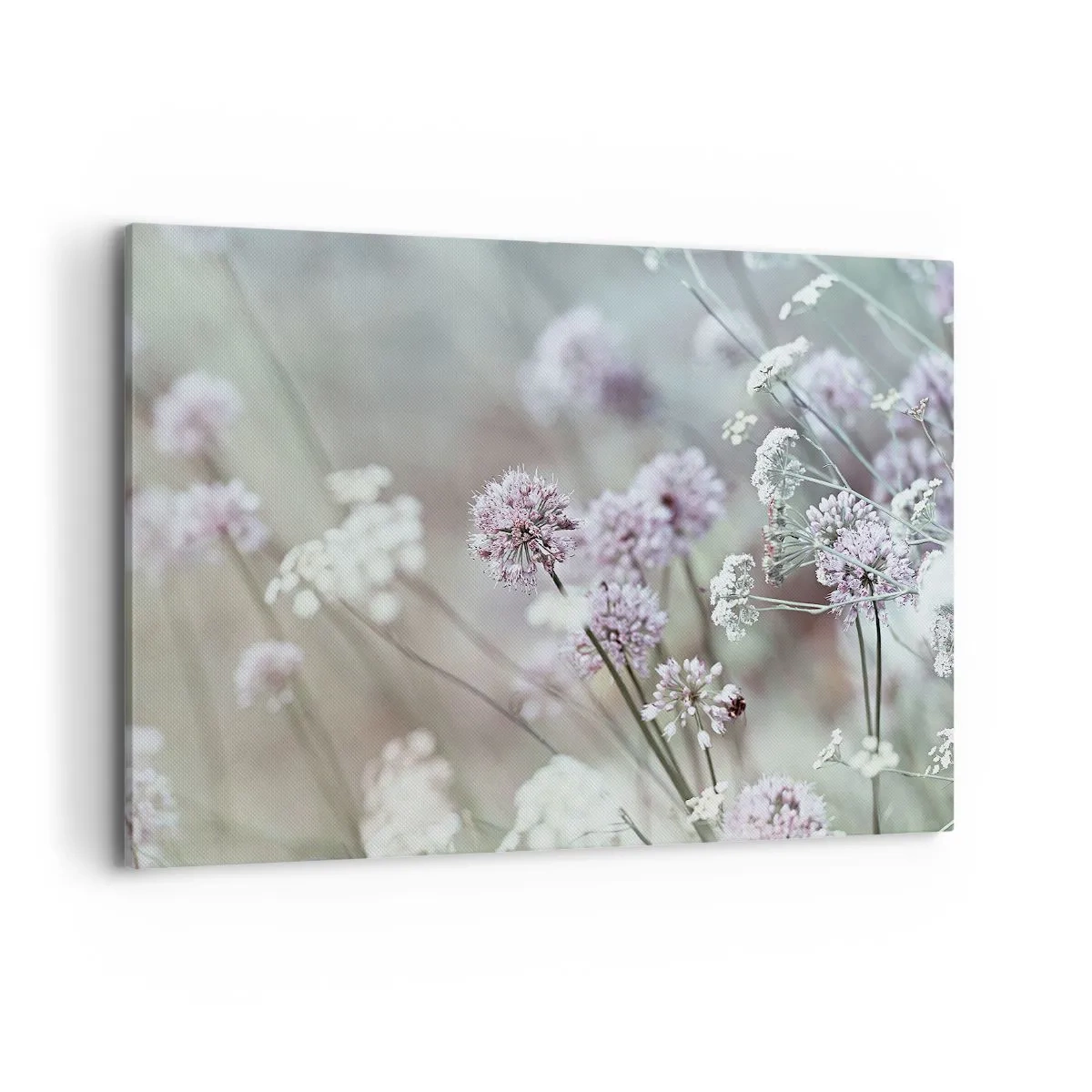 Quadro su tela - Stampe su Tela - Fiori delicati in tonalità pastello - 100x70cm - Le dolci filigrane delle erbe - Decorazione murale moderna per soggiorno e camera da letto ARTTOR