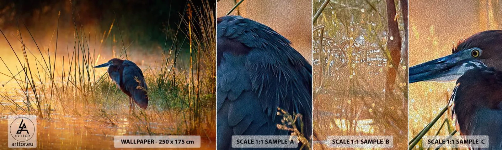 Campione di Fotomurale Premium Sand - Basta con queste foto - Airone, Uccello, Natura - 100x30 cm