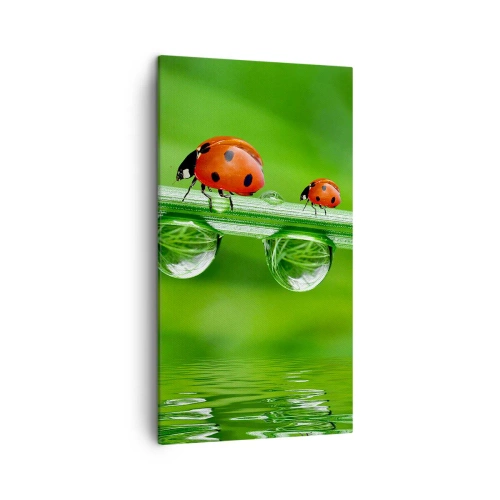 Quadro su tela - Stampe su Tela - In cammino per tutta l'estate - 45x80 cm