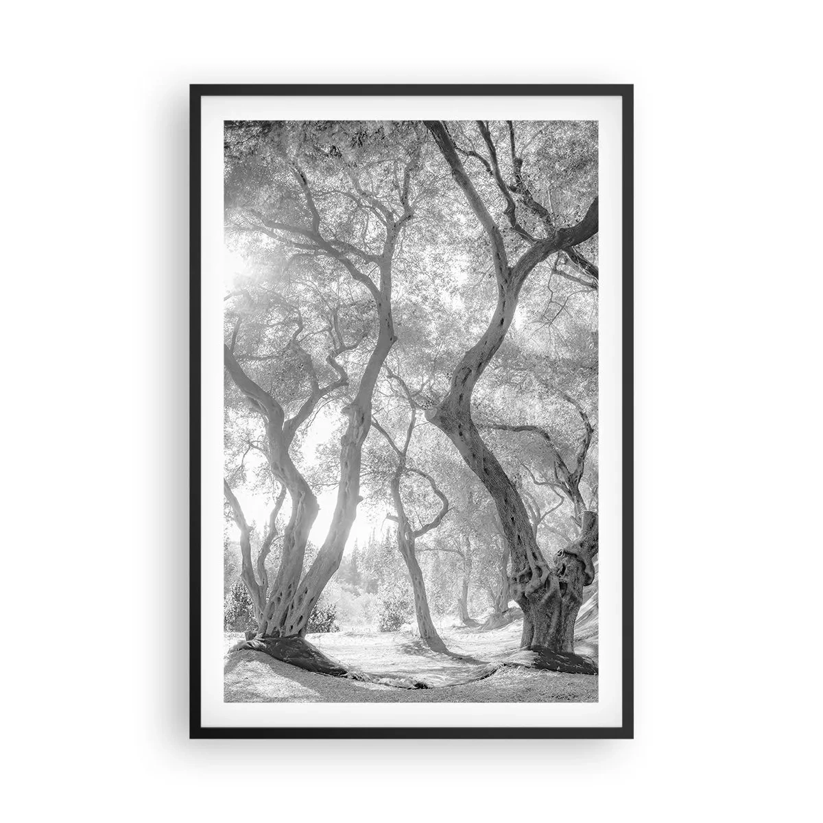 Poster in cornice nera - Nell'orto degli ulivi - 61x91 cm
