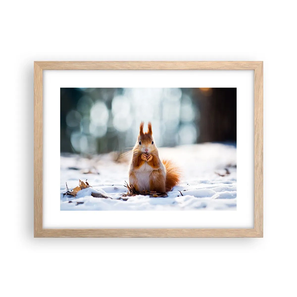 Poster in cornice rovere chiaro - Che cosa guardi? - 40x30 cm