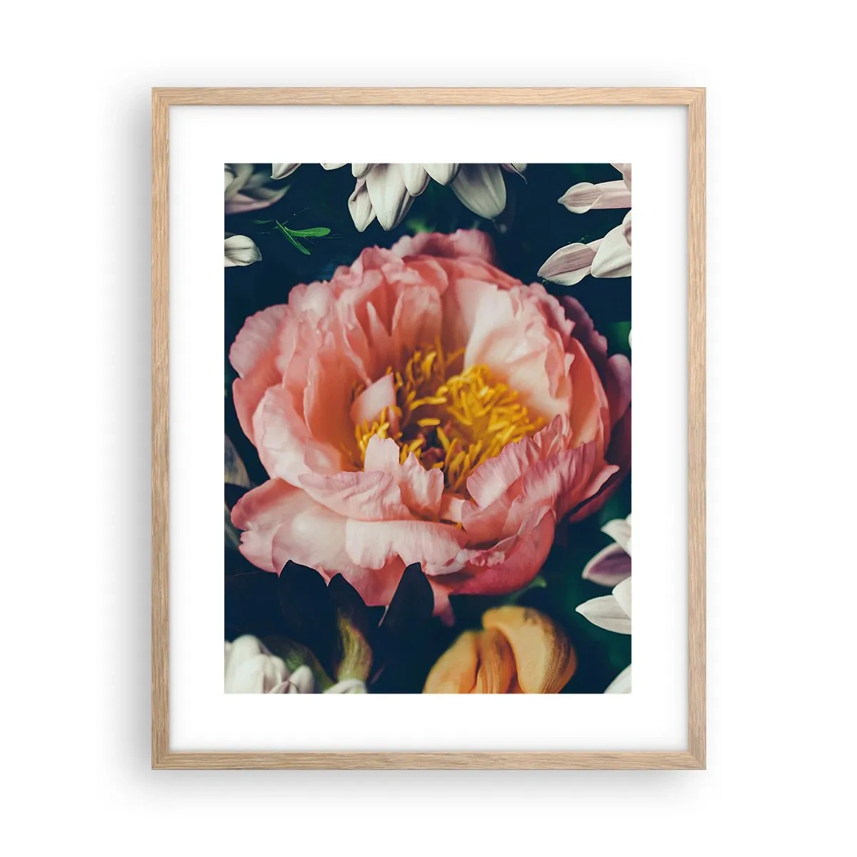 Poster in cornice rovere chiaro - Con fasto barocco - 40x50 cm