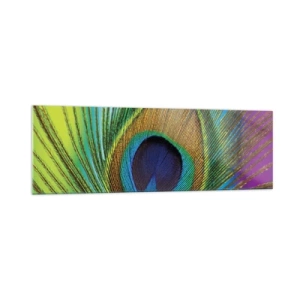 Quadro su vetro - Primo piano di una piuma di pavone dai colori vivaci - 160x50cm - Occhio nell'occhio - Decorazione murale moderna per soggiorno e camera da letto ARTTOR