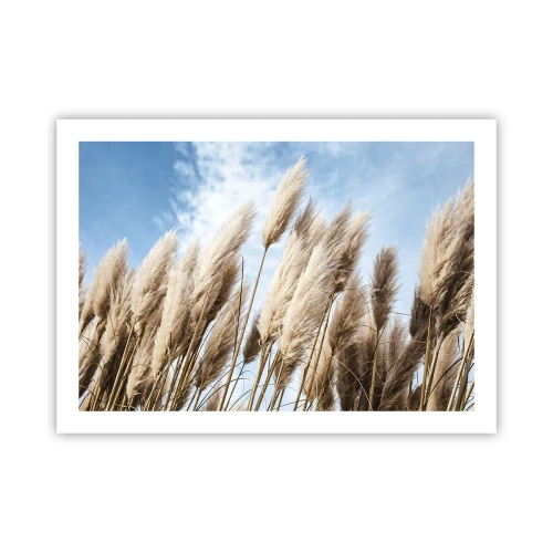 Poster - Le carezze del sole e del vento - 70x50 cm