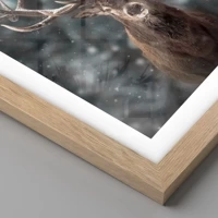 Rovere chiaro