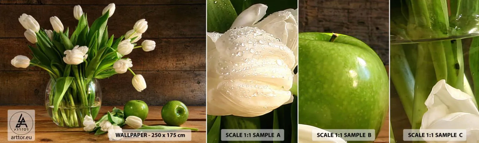 Campione Di Fotomurale Standard Eco - Freschezza in verde e bianco - Fiori, Tulipani, Mazzo di fiori - 100x30 cm