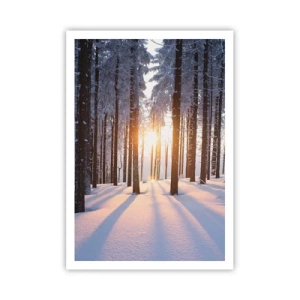 Poster - Decisamente nero su bianco - 70x100 cm