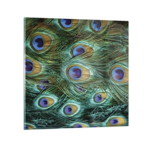 Quadro su vetro - Lo sguardo del pavone - 30x30 cm