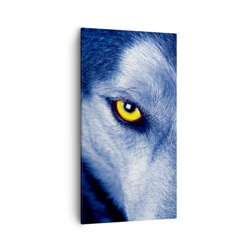 Quadro su tela - Stampe su Tela - Sguardo ipnotico - 55x100 cm