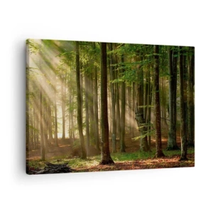 Quadro su tela - Stampe su Tela - Raggi di sole che penetrano attraverso gli alberi nella foresta - 70x50cm - Raggiante in un mattino di primavera - Decorazione murale moderna per soggiorno e camera da letto ARTTOR