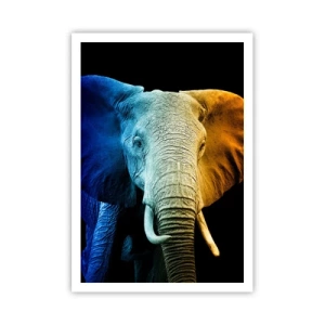 Poster - Eccentrico, non strano - 70x100 cm