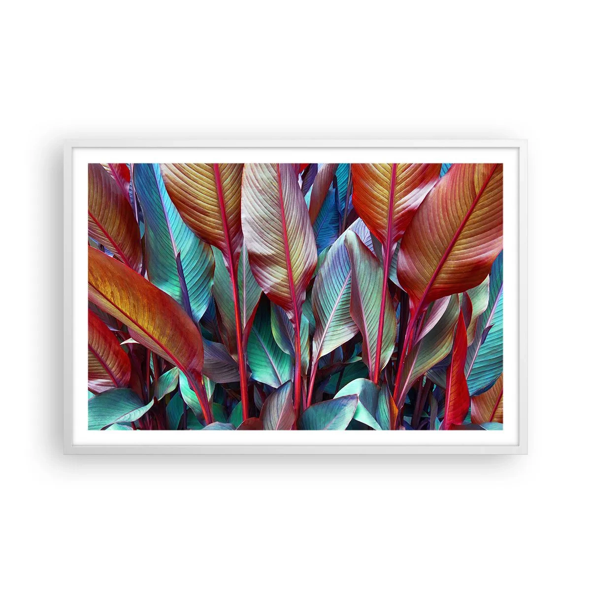 Poster in cornice bianca - Selva colorata - 91x61 cm
