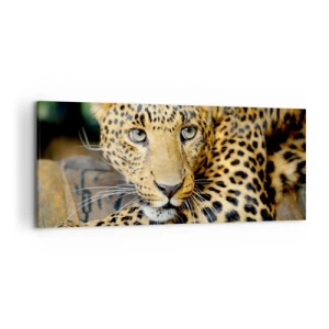 Quadro su tela - Stampe su Tela - Ritratto di un leopardo nel suo ambiente naturale - 120x50cm - Non temere, avvicinati - Decorazione murale moderna per soggiorno e camera da letto ARTTOR
