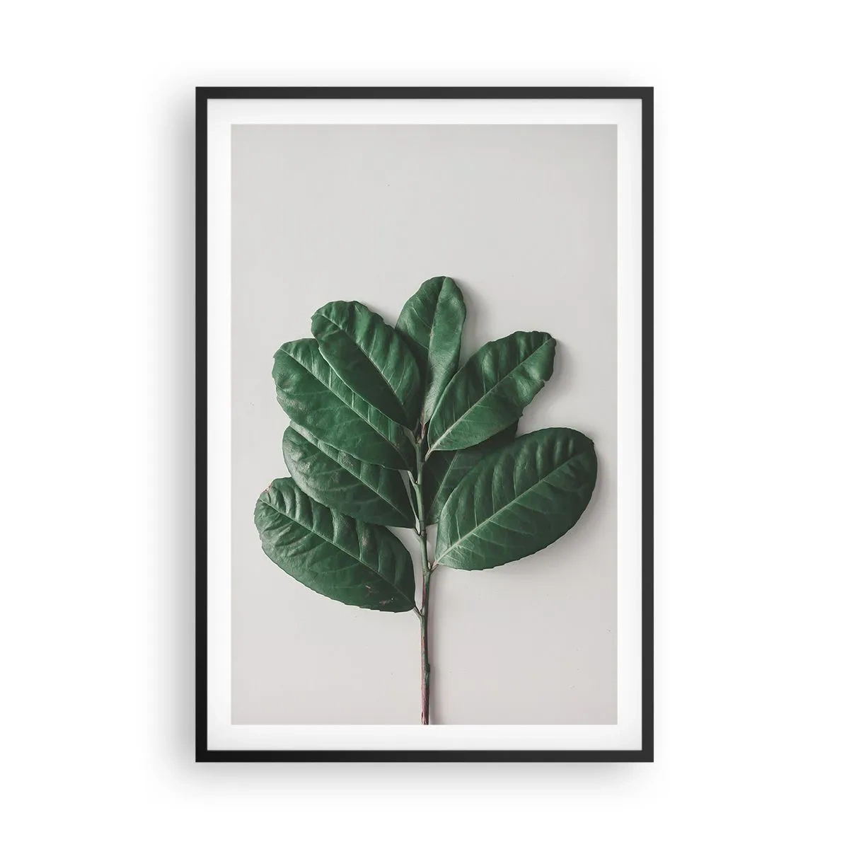 Poster in cornice nera - Il disegno della natura stessa - 61x91 cm