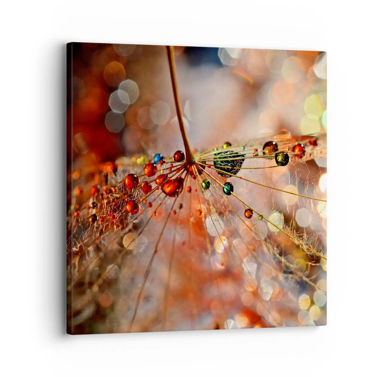 Quadro su tela - Stampe su Tela - Posate sulla ragnatela - 30x30 cm